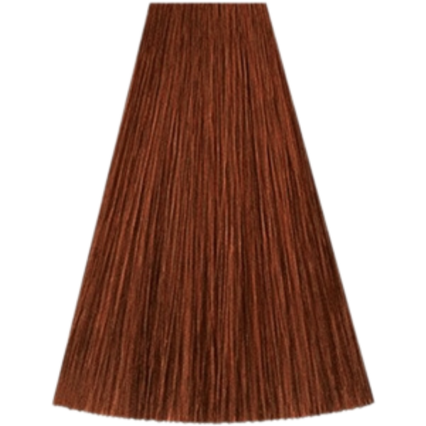 צבע לשיער - צבע שיער גוון 7/43 MEDIUM BLONDE RED GOLD קאדוס KADUS צבע לשיער 60 גרם מאת קאדוס KADUS | | אידיאלית ל- צבע שיער קאדוס KADUS קאדוס | מושלמת ל- {{ product_use_case }}