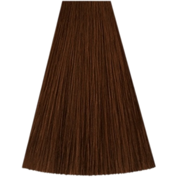 צבע לשיער - צבע שיער גוון 6/41 DARK BLONDE RED ASH קאדוס KADUS צבע לשיער 60 גרם מאת קאדוס KADUS | | אידיאלית ל- צבע שיער קאדוס KADUS קאדוס | מושלמת ל- {{ product_use_case }}