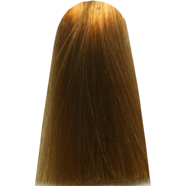 צבע לשיער - צבע לשיער 9,3 VERY LIGHT GOLDEN BLOND מג`ירל MAJIREL לוריאל צבע לשיער 50 גרם מאת לוריאל LOREAL | | אידיאלית ל- X לוריאל צבע שיער מגירל MAJIREL לוריאל LOREAL | מושלמת ל- {{ product_use_case }}