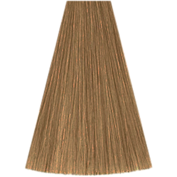 צבע לשיער - צבע שיער גוון 8/38 LIGHT BLONDE GOLD PEARL קאדוס KADUS צבע לשיער 60 גרם מאת קאדוס KADUS | | אידיאלית ל- צבע שיער קאדוס KADUS קאדוס | מושלמת ל- {{ product_use_case }}