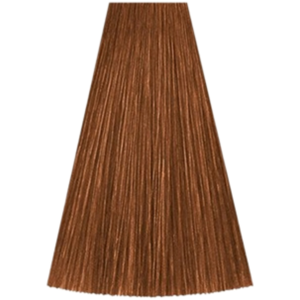 צבע לשיער - צבע שיער גוון 7/37 MEDIUM BLONDE GOLD BRUNETTE קאדוס KADUS צבע לשיער 60 גרם מאת קאדוס KADUS | | אידיאלית ל- צבע שיער קאדוס KADUS קאדוס | מושלמת ל- {{ product_use_case }}