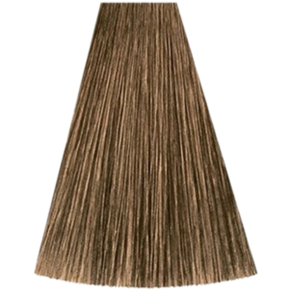 צבע לשיער - צבע שיער 6/3 DARK BLONDE GOLD קאדוס KADUS צבע לשיער 60 גרם מאת קאדוס KADUS | | אידיאלית ל- צבע שיער קאדוס KADUS קאדוס | מושלמת ל- {{ product_use_case }}