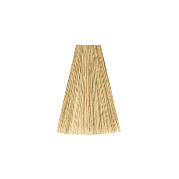 צבע לשיער - צבע שיער 12/0 SPECIAL BLONDE NATURAL קאדוס KADUS צבע לשיער 60 גרם מאת קאדוס KADUS | | אידיאלית ל- צבע שיער קאדוס KADUS קאדוס | מושלמת ל- {{ product_use_case }}