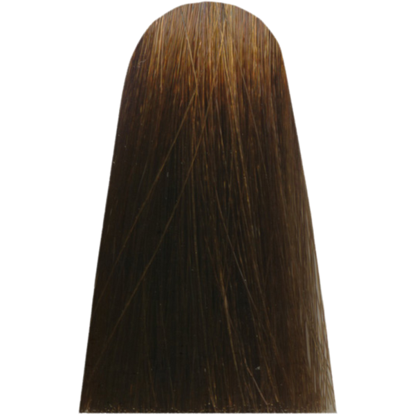 צבע לשיער - צבע שיער 6,32 DARK GOLDEN IRIDESCENT BLOND מג`ירל MAJIREL לוריאל צבע לשיער 50 גרם מאת לוריאל LOREAL | | אידיאלית ל- X לוריאל צבע שיער מגירל MAJIREL לוריאל LOREAL | מושלמת ל- {{ product_use_case }}