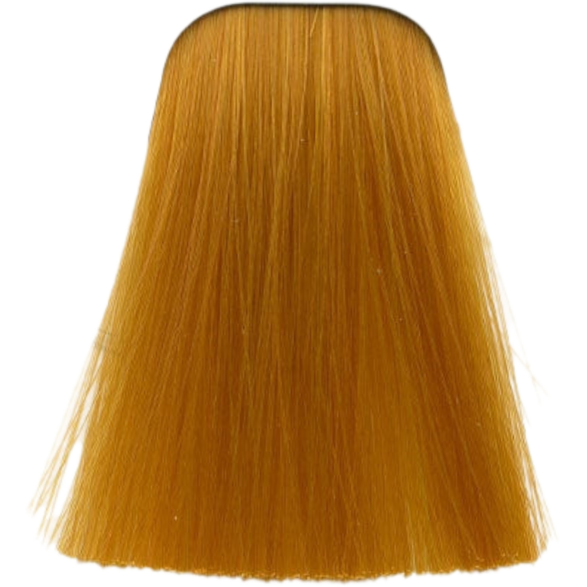 צבע לשיער - צבע לשיער 0-55 GOLD CONCETRATE איגורה IGORA שוורצקופף 60 גרם מאת שוורצקופף SCHWARZKOPF | | אידיאלית ל- צבע שיער איגורה IGORA שוורצקופף SCHWARZKOPF שוורצקופף | מושלמת ל- {{ product_use_case }}