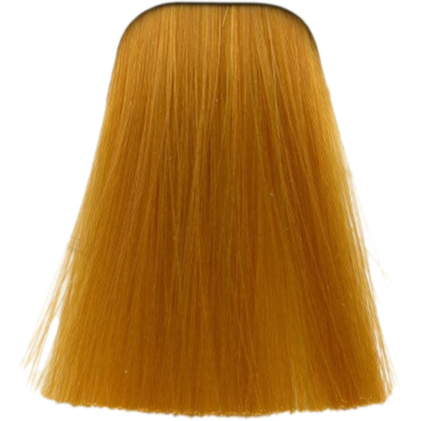 צבע לשיער - צבע לשיער 0-55 GOLD CONCETRATE איגורה IGORA שוורצקופף 60 גרם מאת שוורצקופף SCHWARZKOPF | | אידיאלית ל- צבע שיער איגורה IGORA שוורצקופף SCHWARZKOPF שוורצקופף | מושלמת ל- {{ product_use_case }}