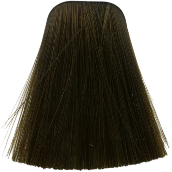 צבע לשיער - צבע לשיער 6-50 DARK BLONDE GOLD NATURAL איגורה IGORA שוורצקופף 60 גרם מאת שוורצקופף SCHWARZKOPF | | אידיאלית ל- צבע שיער איגורה IGORA שוורצקופף SCHWARZKOPF שוורצקופף | מושלמת ל- {{ product_use_case }}