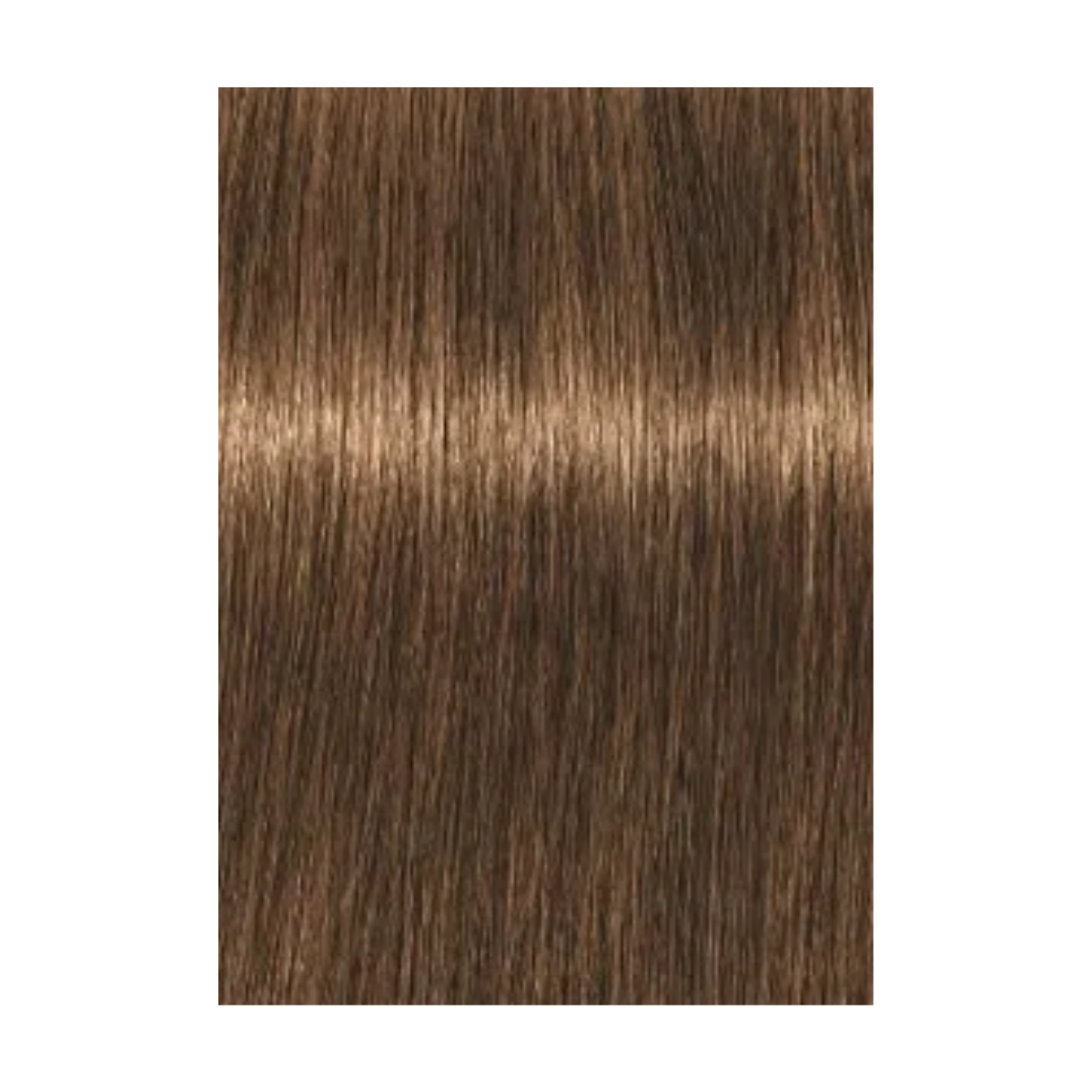 צבע לשיער - צבע לשיער 6-5 GOLDEN DARK BLONDE איגורה IGORA שוורצקופף 60 גרם מאת שוורצקופף SCHWARZKOPF | | אידיאלית ל- צבע שיער איגורה IGORA שוורצקופף SCHWARZKOPF שוורצקופף | מושלמת ל- {{ product_use_case }}