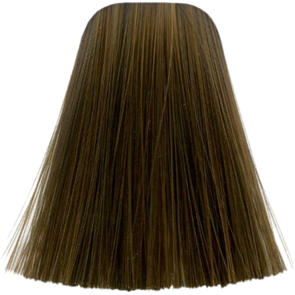 צבע לשיער - צבע לשיער 6-6 DARK BLONDE CHOCOLATE איגורה IGORA שוורצקופף 60 גרם מאת שוורצקופף SCHWARZKOPF | | אידיאלית ל- צבע שיער איגורה IGORA שוורצקופף SCHWARZKOPF שוורצקופף | מושלמת ל- {{ product_use_case }}