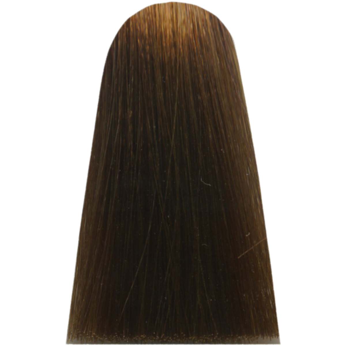 צבע לשיער - צבע שיער 7,31 GOLDEN ASH BLOND מג`ירל MAJIREL לוריאל צבע לשיער 50 גרם מאת לוריאל LOREAL | | אידיאלית ל- X לוריאל צבע שיער מגירל MAJIREL לוריאל LOREAL | מושלמת ל- {{ product_use_case }}