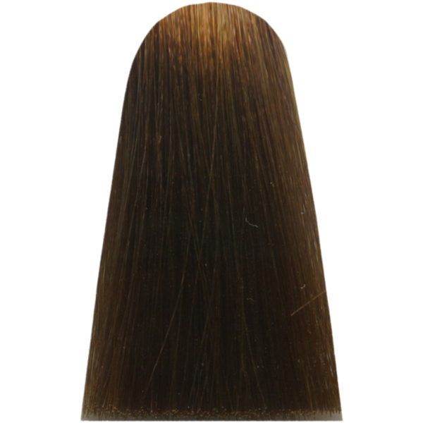 צבע לשיער - צבע שיער 7,31 GOLDEN ASH BLOND מג`ירל MAJIREL לוריאל צבע לשיער 50 גרם מאת לוריאל LOREAL | | אידיאלית ל- X לוריאל צבע שיער מגירל MAJIREL לוריאל LOREAL | מושלמת ל- {{ product_use_case }}