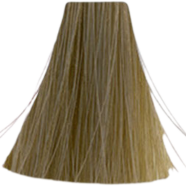 צבע לשיער - צבע שיער 10.13 Cool Brown / Cool Beige אינואה INOA לוריאל 60 גרם מאת לוריאל LOREAL | | אידיאלית ל- X לוריאל צבע שיער אינואה לוריאל INOA LOREAL | מושלמת ל- {{ product_use_case }}