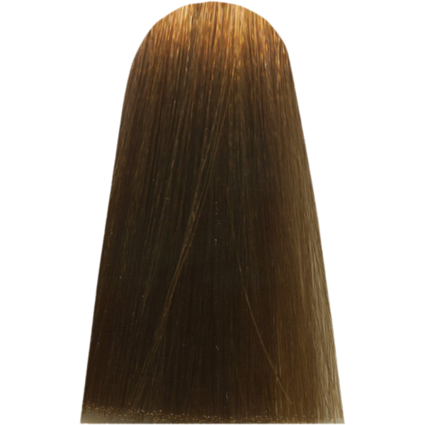 צבע לשיער - צבע שיער 8,31 LIGHT GOLDEN ASH BLOND מג`ירל MAJIREL צבע לשיער לוריאל 50 גרם מאת לוריאל LOREAL | | אידיאלית ל- X לוריאל צבע שיער מגירל MAJIREL לוריאל LOREAL | מושלמת ל- {{ product_use_case }}