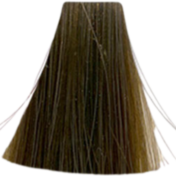 צבע לשיער - צבע שיער 8.23 Cool Brown / Cool Beige אינואה INOA לוריאל 60 גרם מאת לוריאל LOREAL | | אידיאלית ל- X לוריאל צבע שיער אינואה לוריאל INOA LOREAL | מושלמת ל- {{ product_use_case }}