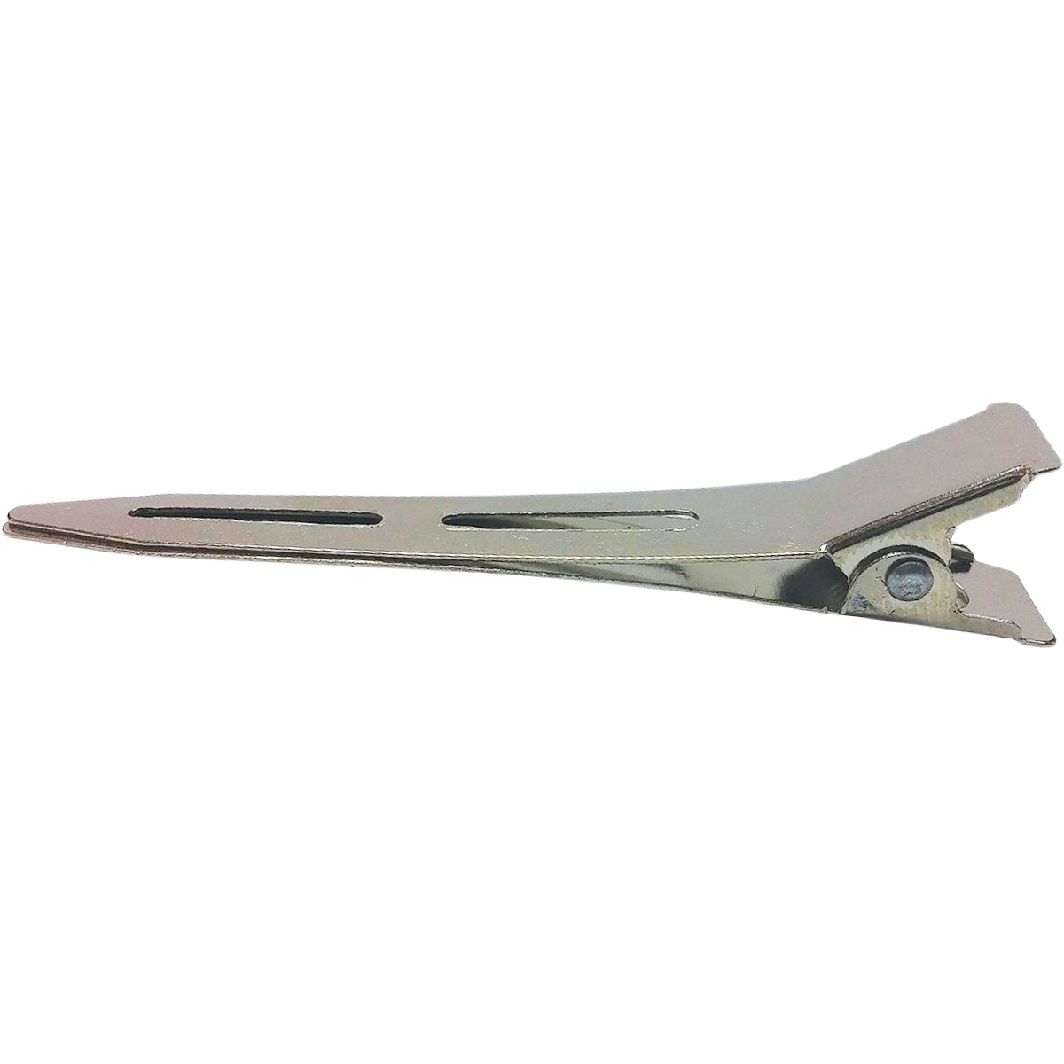 קליפס לשיער - קליפס מתכת קטן (100 יח') מאת וולדן Welldan | | אידיאלית ל- וולדן קליפסים לשיער | מושלמת ל- {{ product_use_case }}