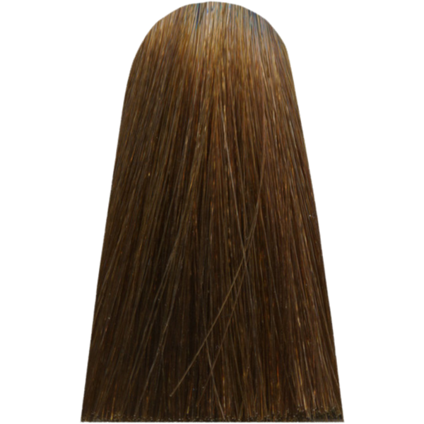 צבע לשיער - צבע שיער 8,8 LIGHT MOCHA BLOND מג`ירל MAJIREL לוריאל צבע לשיער 50 גרם מאת לוריאל LOREAL | | אידיאלית ל- X לוריאל צבע שיער מגירל MAJIREL לוריאל LOREAL | מושלמת ל- {{ product_use_case }}