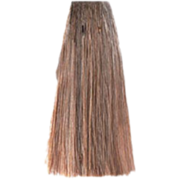 צבע לשיער - צבע שיער 10.1 PLATINUM ASH BLONSE פארמויטה FarmaVita צבע לשיער 100 גרם מאת פארמהויטה FARMAVITA | | אידיאלית ל- פארמהויטה צבע שיער פארמהויטה LIFE COLOR PLUS | מושלמת ל- {{ product_use_case }}