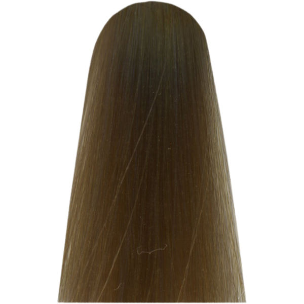 צבע לשיער - צבע שיער סגול HL VIOLET ססגוני IRIDESCENT מג`ירל MAJIREL HIGH LIFT לוריאל 50 גרם מאת לוריאל LOREAL | | אידיאלית ל- X לוריאל צבע שיער מגירל MAJIREL לוריאל LOREAL | מושלמת ל- {{ product_use_case }}