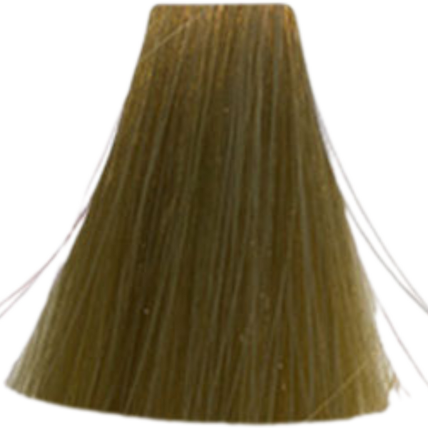 צבע לשיער - צבע שיער 9.31 Warm Brown / Warm Beige אינואה INOA לוריאל 60 גרם מאת לוריאל LOREAL | | אידיאלית ל- X לוריאל צבע שיער אינואה לוריאל INOA LOREAL | מושלמת ל- {{ product_use_case }}