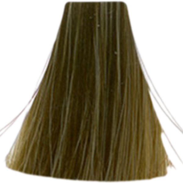 צבע לשיער - צבע שיער 8.31 Warm Brown / Warm Beige אינואה INOA לוריאל 60 גרם מאת לוריאל LOREAL | | אידיאלית ל- X לוריאל צבע שיער אינואה לוריאל INOA LOREAL | מושלמת ל- {{ product_use_case }}