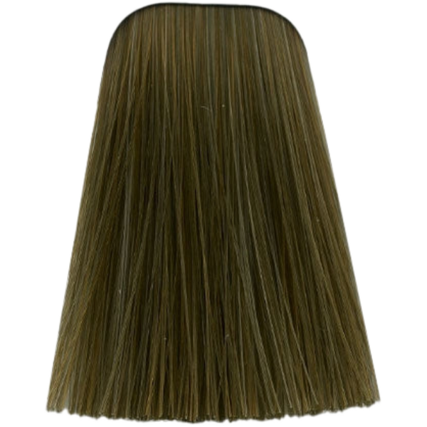 צבע לשיער - צבע לשיער 8-140 LIGHT BLONDE CENDRE NATURAL איגורה IGORA שוורצקופף 60 גרם מאת שוורצקופף SCHWARZKOPF | | אידיאלית ל- צבע שיער איגורה IGORA שוורצקופף SCHWARZKOPF שוורצקופף | מושלמת ל- {{ product_use_case }}