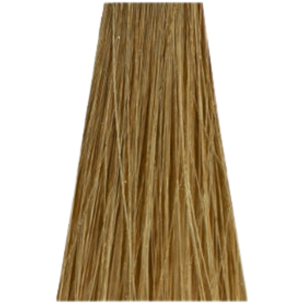 צבע לשיער - צבע שיער ללא אמוניה 9-00 צבע EXTRA LIGHT BLONDE NATURAL EXTRA זירו אמוניה ZERO AMM שוורצקופף 60 גרם מאת שוורצקופף SCHWARZKOPF | | אידיאלית ל- צבע שיער ללא אמוניה אסנסיטי ESSENSITY שוורצקופף SCHWARZKOPF שוורצקופף | מושלמת ל- {{ product_use_case }}