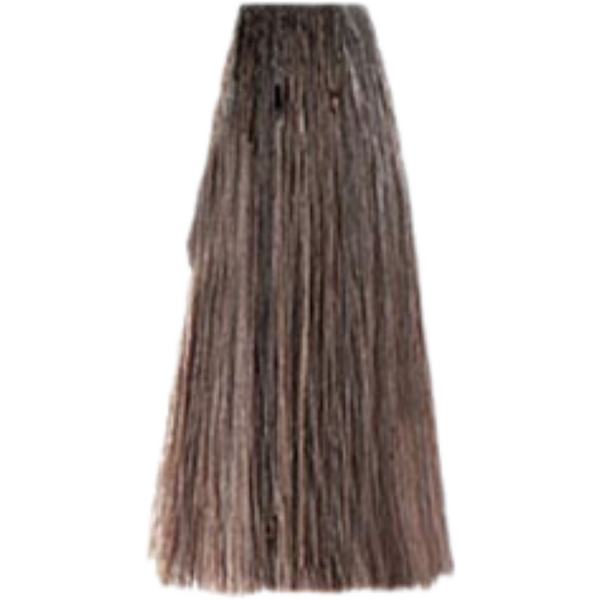 צבע לשיער - צבע שיער 9.1 VERY LIGHT ASH BLONDE פארמויטה FarmaVita צבע לשיער 100 גרם מאת פארמהויטה FARMAVITA | | אידיאלית ל- פארמהויטה צבע שיער פארמהויטה LIFE COLOR PLUS | מושלמת ל- {{ product_use_case }}