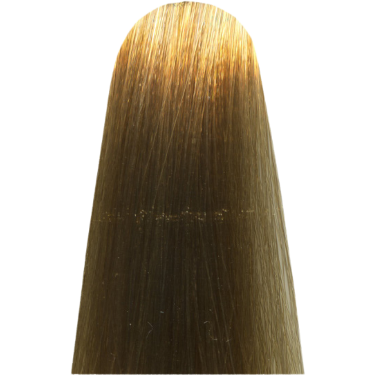 צבע לשיער - צבע שיער 10 CC LIGHTEST BLONDE בסיסי FUNDAMENTAL מג`ירל MAJIREL COOL COVER צבע לשיער לוריאל 50 גרם מאת לוריאל LOREAL | | אידיאלית ל- X לוריאל צבע שיער מגירל קול קובר MAJIREL COOL COVER | מושלמת ל- {{ product_use_case }}
