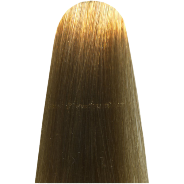 צבע לשיער - צבע שיער 10 CC LIGHTEST BLONDE בסיסי FUNDAMENTAL מג`ירל MAJIREL COOL COVER צבע לשיער לוריאל 50 גרם מאת לוריאל LOREAL | | אידיאלית ל- X לוריאל צבע שיער מגירל קול קובר MAJIREL COOL COVER | מושלמת ל- {{ product_use_case }}