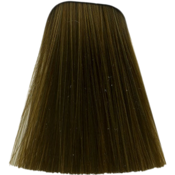 צבע לשיער - צבע לשיער 8-50 LIGHT BLONDE GOLD NETURAL איגורה IGORA שוורצקופף 60 גרם מאת שוורצקופף SCHWARZKOPF | | אידיאלית ל- צבע שיער איגורה IGORA שוורצקופף SCHWARZKOPF שוורצקופף | מושלמת ל- {{ product_use_case }}
