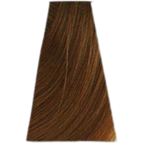 צבע לשיער - צבע שיער Medium golden blonde 7.3 קיון KEUNE מאת קיון KEUNE | | אידיאלית ל- צבע שיער קיון KEUNE קיון | מושלמת ל- {{ product_use_case }}