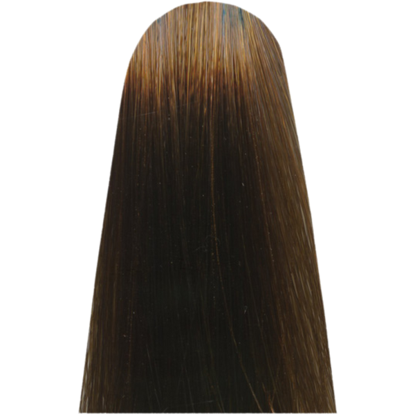 צבע לשיער - צבע שיער CC 7,3 BEIGE GOLDEN BLONDE זהב GOLD מג`ירל MAJIREL COOL COVER צבע לשיער לוריאל 50 גרם מאת לוריאל LOREAL | | אידיאלית ל- X לוריאל צבע שיער מגירל קול קובר MAJIREL COOL COVER | מושלמת ל- {{ product_use_case }}