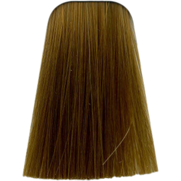 צבע לשיער - צבע לשיער10-46 ULTRA BLONDE BEIGE CHOCOLATE איגורה IGORA שוורצקופף 60 גרם מאת שוורצקופף SCHWARZKOPF | | אידיאלית ל- צבע שיער איגורה IGORA שוורצקופף SCHWARZKOPF שוורצקופף | מושלמת ל- {{ product_use_case }}