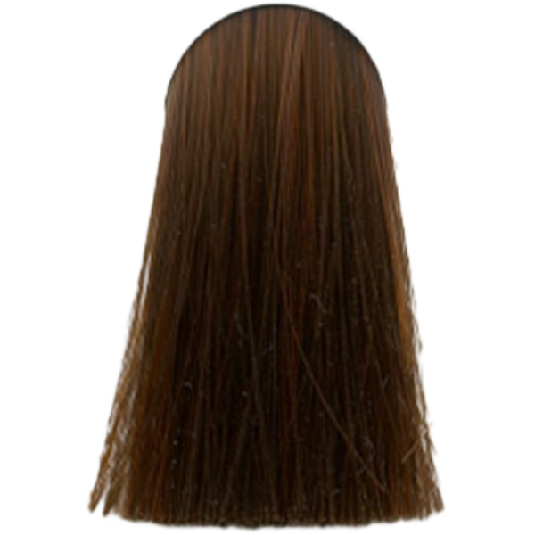 צבע לשיער - צבע לשיער 6.43 DARK BLONDE CIPPER GOLD אינדולה INDOLA צבע לשיער 60 גרם מאת אינדולה INDOLA | | אידיאלית ל- אינדולה צבע שיער אינדולה INDOLA | מושלמת ל- {{ product_use_case }}
