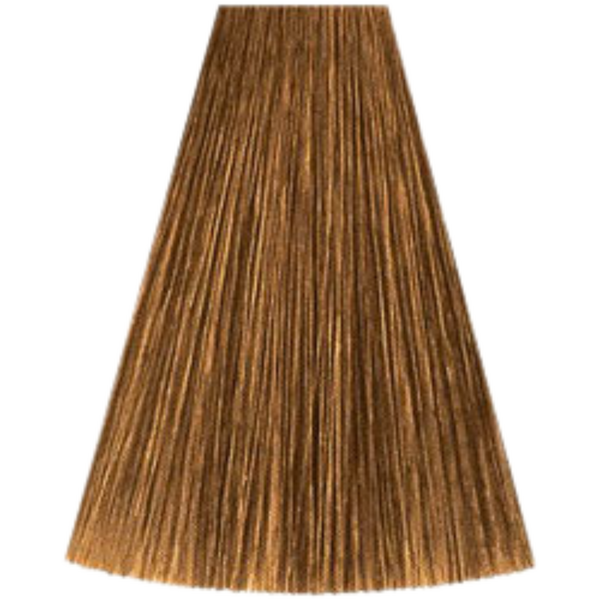 צבע לשיער - 8/73 LIGHT BLONDE BRUNETTE GOLD קאדוס KADUS צבע לשיער 60 גרם מאת קאדוס KADUS | | אידיאלית ל- צבע שיער קאדוס KADUS קאדוס | מושלמת ל- {{ product_use_case }}