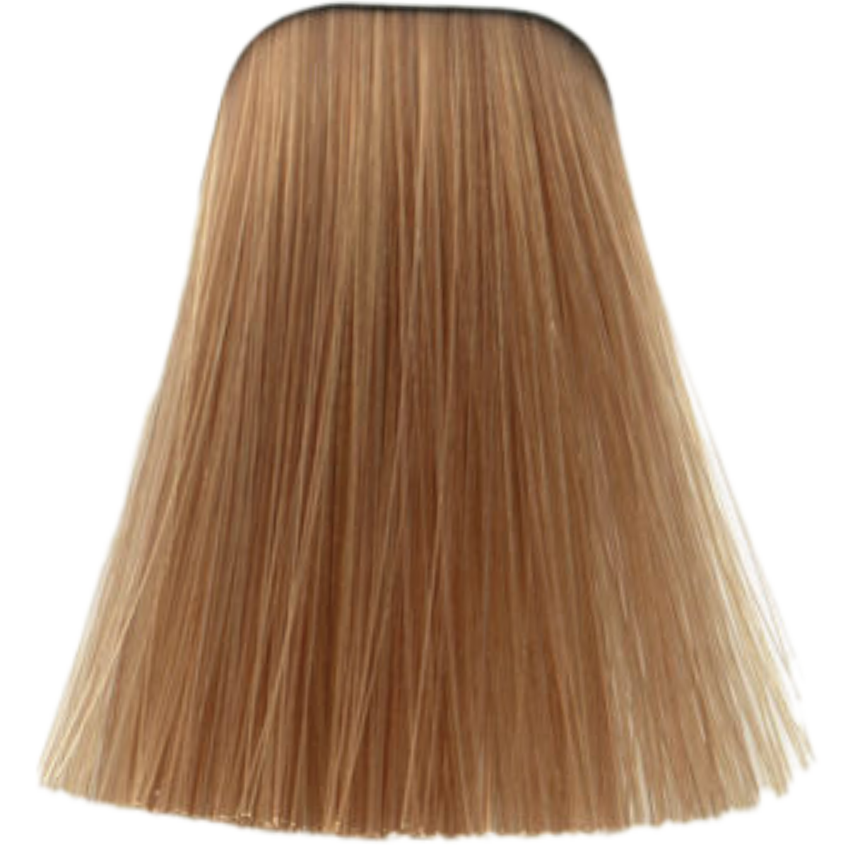 שטיפה לשיער - צבע לשיער 9,5-49 PASTEL NUDE איגורה IGORA שוורצקופף 60 גרם מאת שוורצקופף SCHWARZKOPF | | אידיאלית ל- צבע שיער איגורה IGORA שוורצקופף SCHWARZKOPF שוורצקופף | מושלמת ל- {{ product_use_case }}
