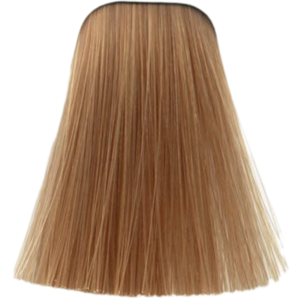 שטיפה לשיער - צבע לשיער 9,5-49 PASTEL NUDE איגורה IGORA שוורצקופף 60 גרם מאת שוורצקופף SCHWARZKOPF | | אידיאלית ל- צבע שיער איגורה IGORA שוורצקופף SCHWARZKOPF שוורצקופף | מושלמת ל- {{ product_use_case }}