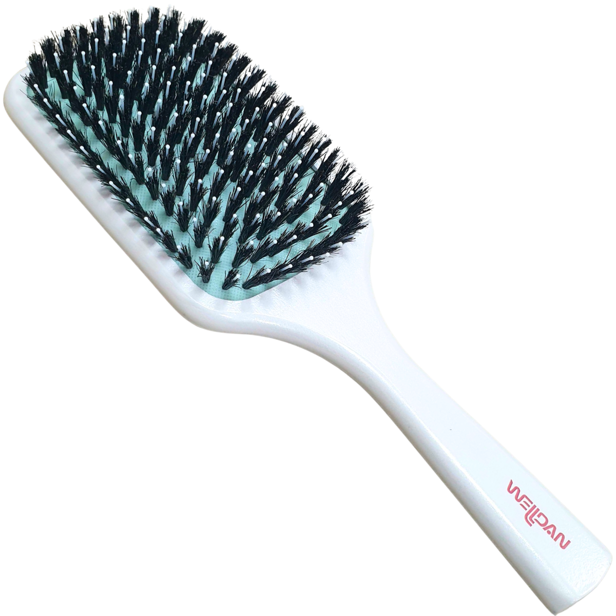 מברשת לשיער - חדש! מברשת מטקה עץ לבנה קוצים/שיער דגם סלון מאת וולדן Welldan | | אידיאלית ל- וולדן מברשות להברשה | מושלמת ל- {{ product_use_case }}