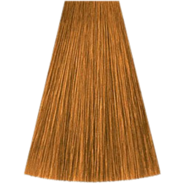 צבע לשיער - 8/7 LIGHT BLONDE BRUNETTE קאדוס KADUS צבע לשיער 60 גרם מאת קאדוס KADUS | | אידיאלית ל- צבע שיער קאדוס KADUS קאדוס | מושלמת ל- {{ product_use_case }}