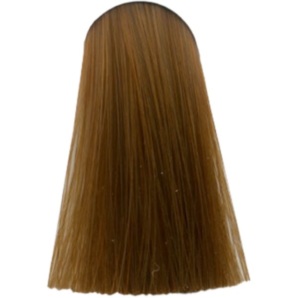 צבע לשיער - צבע לשיער 8.34 LIGHT BLONDE GOLD COPPER אינדולה INDOLA צבע לשיער 60 גרם מאת אינדולה INDOLA | | אידיאלית ל- אינדולה צבע שיער אינדולה INDOLA | מושלמת ל- {{ product_use_case }}