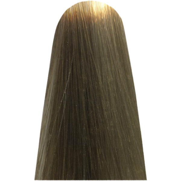 צבע לשיער - צבע שיער LIGHT.13 TAUPE LESS מג`ירל בוהק MAJIREL GLOW צבע לשיער לוריאל 50 גרם מאת לוריאל LOREAL | | אידיאלית ל- X לוריאל צבע שיער מגירל MAJIREL לוריאל LOREAL | מושלמת ל- {{ product_use_case }}