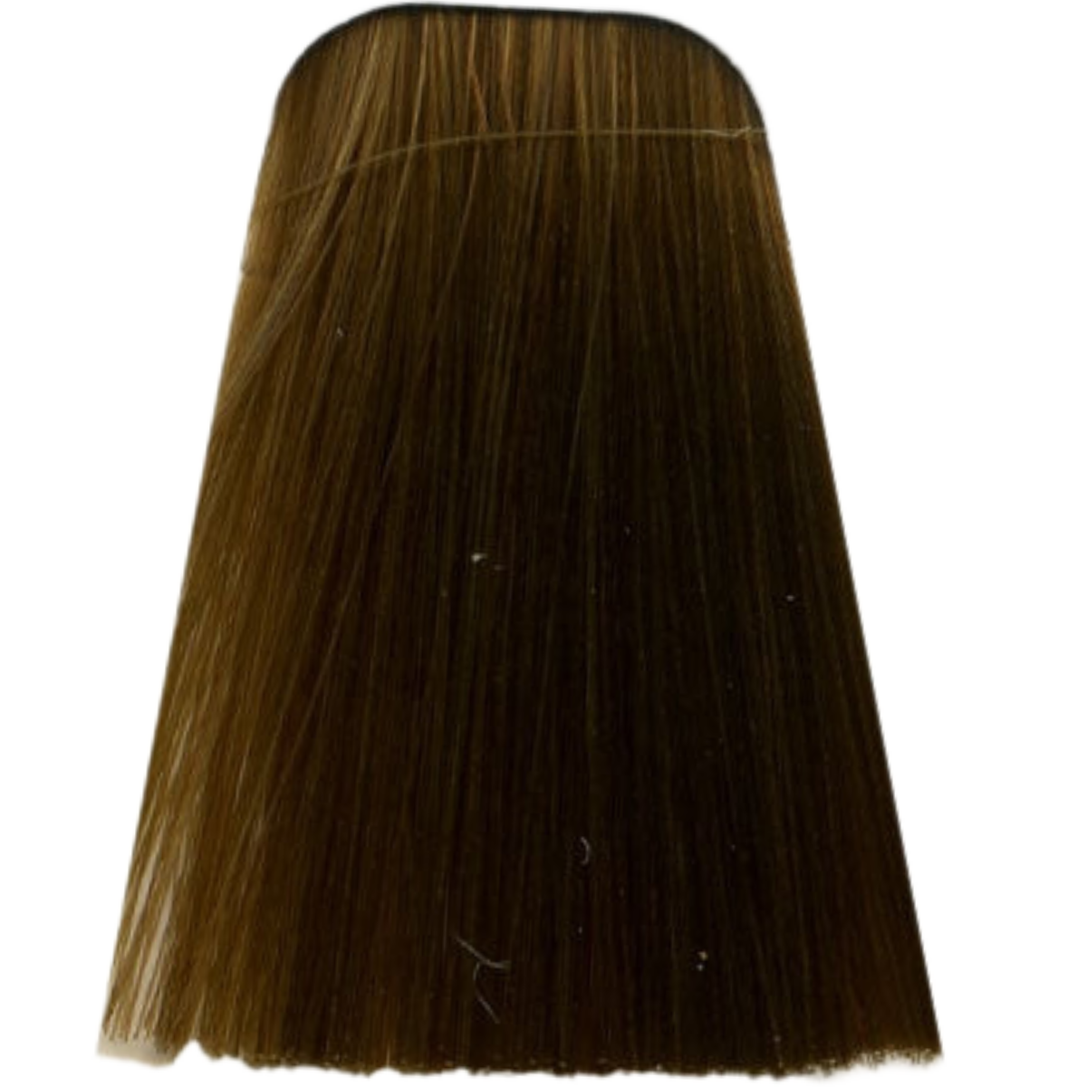 צבע לשיער - צבע לשיער 9-60 EXTRA LIGHT BLONDE CHOCOLATE NATURAL איגורה IGORA שוורצקופף 60 גרם מאת שוורצקופף SCHWARZKOPF | | אידיאלית ל- צבע שיער איגורה IGORA שוורצקופף SCHWARZKOPF שוורצקופף | מושלמת ל- {{ product_use_case }}