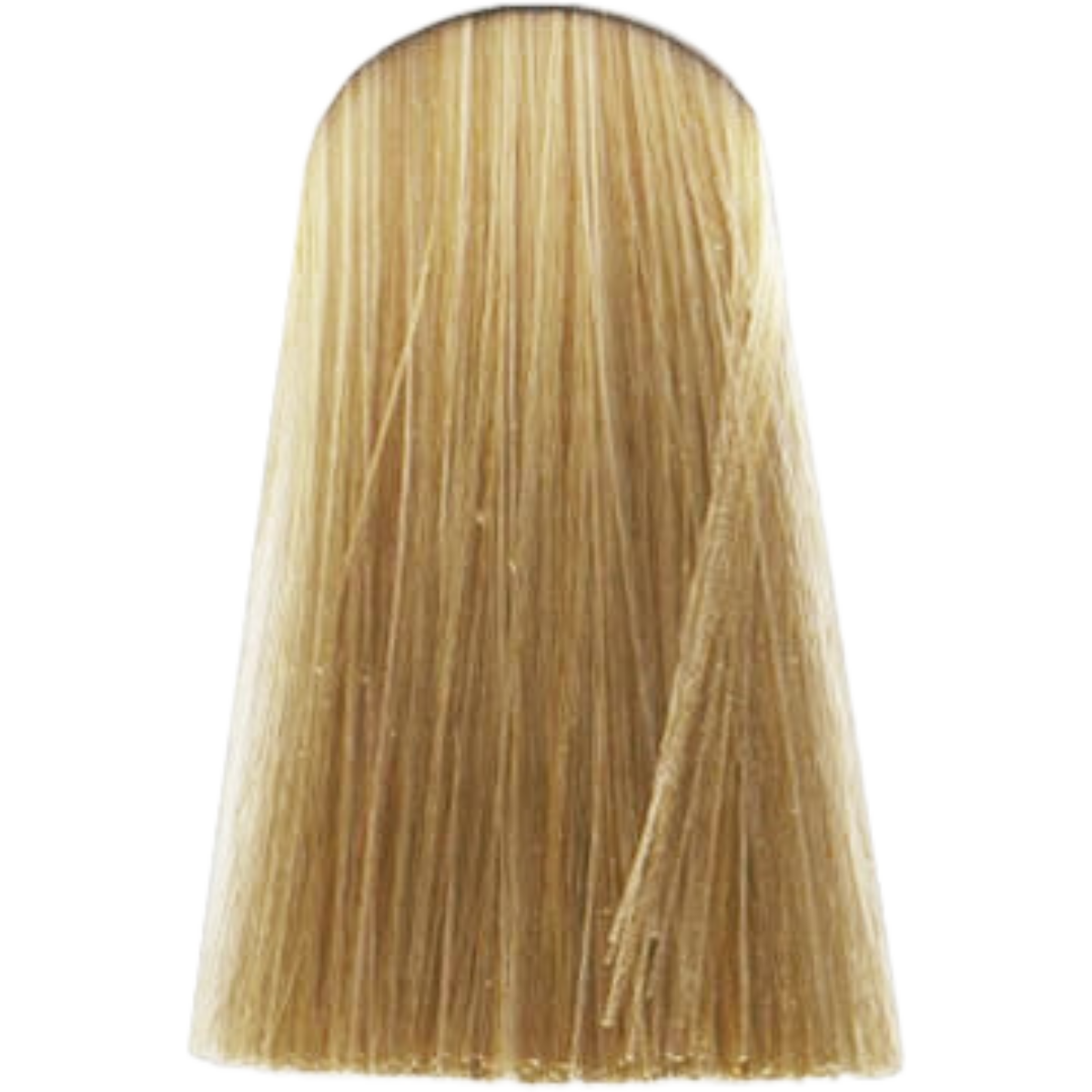 צבע לשיער - צבע לשיער גוון 1000.0 NATURAL HIGHLIFT אינדולה INDOLA צבע לשיער 60 גרם מאת אינדולה INDOLA | | אידיאלית ל- אינדולה צבע שיער אינדולה INDOLA | מושלמת ל- {{ product_use_case }}