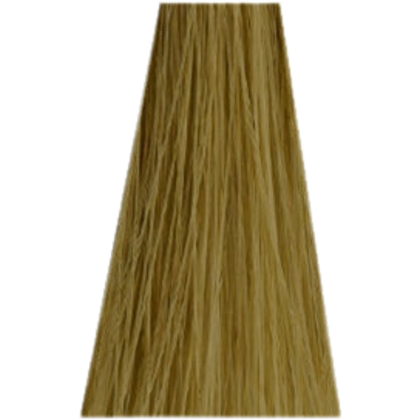 צבע לשיער - צבע שיער ללא אמוניה 10-14 ארז ULTRA BLOND CENDRE BEIGE זירו אמוניה ZERO AMM שוורצקופף 60 גרם מאת שוורצקופף SCHWARZKOPF | | אידיאלית ל- צבע שיער ללא אמוניה אסנסיטי ESSENSITY שוורצקופף SCHWARZKOPF שוורצקופף | מושלמת ל- {{ product_use_case }}