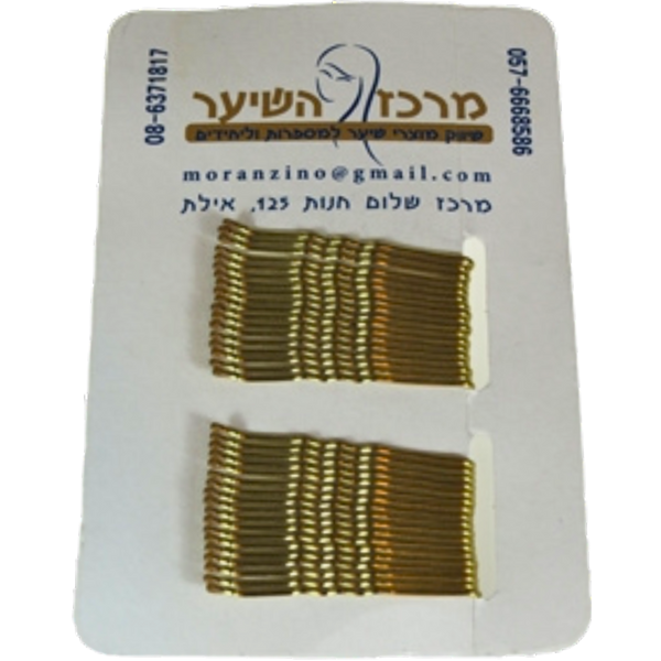 סיכה לשיער - סיכות ראש בלונד לעיצוב שיער 36 יחידות מאת 2Hair | | אידיאלית ל- מוצרים לספר מוצרים לשיער | מושלמת ל- {{ product_use_case }}