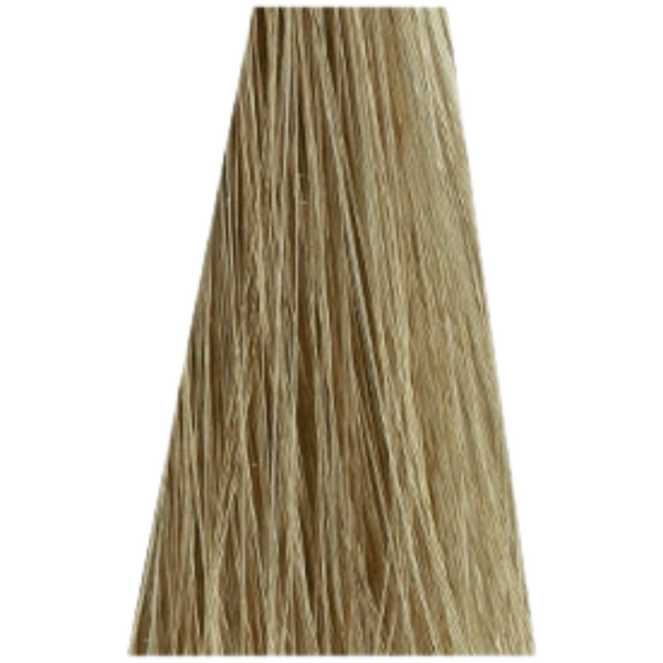 צבע לשיער - צבע שיער ללא אמוניה 10-2 ארז ULTRA BLOND ASH זירו אמוניה ZERO AMM שוורצקופף 60 גרם מאת שוורצקופף SCHWARZKOPF | | אידיאלית ל- צבע שיער ללא אמוניה אסנסיטי ESSENSITY שוורצקופף SCHWARZKOPF שוורצקופף | מושלמת ל- {{ product_use_case }}