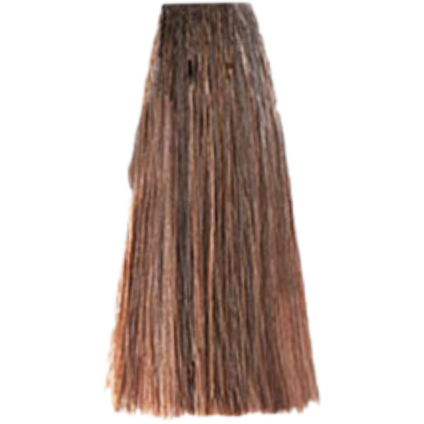 צבע לשיער - צבע שיער 8.3 LIGHT GOLDEN BLONDE פארמויטה FarmaVita צבע לשיער 100 גרם מאת פארמהויטה FARMAVITA | | אידיאלית ל- פארמהויטה צבע שיער פארמהויטה LIFE COLOR PLUS | מושלמת ל- {{ product_use_case }}