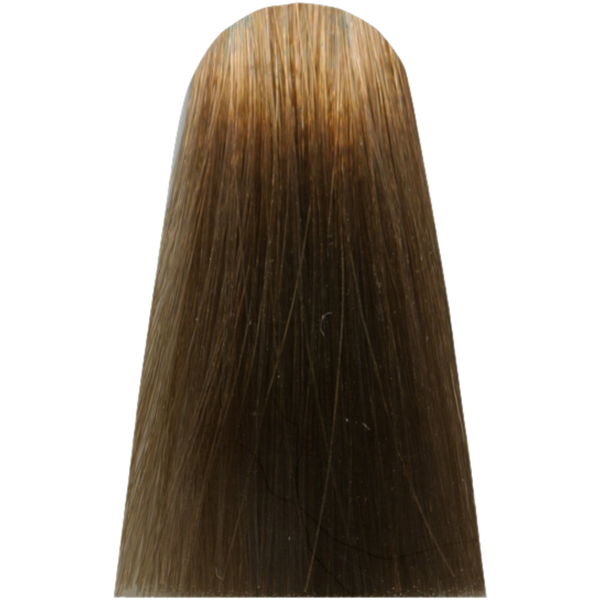 צבע לשיער - צבע שיער 8,13 COOL INFORCED LIGHT COOL BEIGE חום קריר COOL BROWN מג`ירל MAJIREL לוריאל צבע לשיער 50 גרם מאת לוריאל LOREAL | | אידיאלית ל- X לוריאל צבע שיער מגירל MAJIREL לוריאל LOREAL | מושלמת ל- {{ product_use_case }}